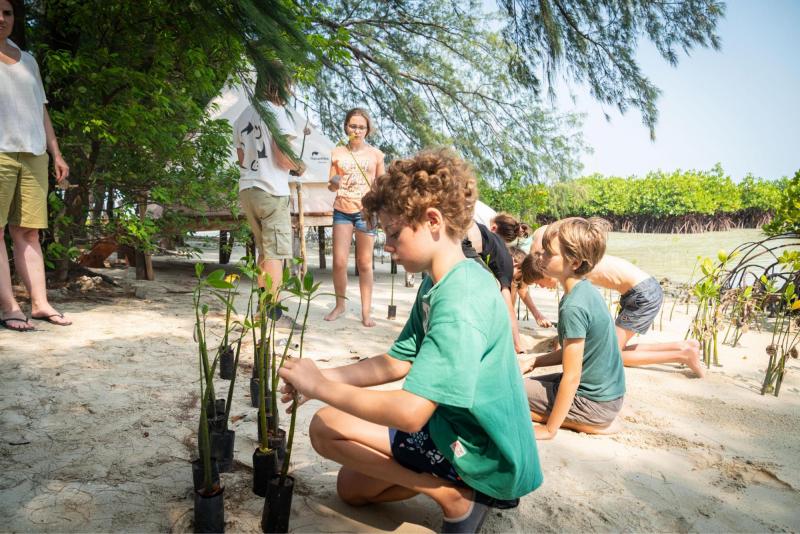 De Prins van Hola Pola plant mangroves in Indonesie